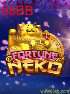 FortuneNeko: Um Guia Completo para Iniciantes